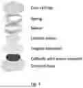 Fig. 05 - BATTERY CATHODES