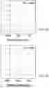 Fig. 07 - Recycling and regeneration of lithium-ion battery cathodes
