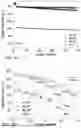 Fig. 10 - Recycling and regeneration of lithium-ion battery cathodes