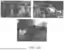 Fig. 150 - Safer Batteries and Separators for Batteries; Solutions on Li-Ion Edv/Ess Battery Safety; Solutions on Anode/Electrolyte/Cathode Reduction and/or Oxidation Issues; and, Improved Batteries, Anodes, and/or Separators