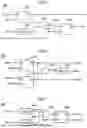 Fig. 04 - Spiking Neuron Circuit System and Spiking Neuron Circuit