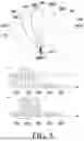 Fig. 06 - RADIO ACCESS NETWORK INTELLIGENT CONTROLLER SELECTING CELL FOR PERFORMING COORDINATED MULTI-POINT TRANSMISSION/RECEPTION, AND OPERATION METHOD THEREOF