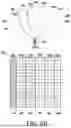 Fig. 10 - RADIO ACCESS NETWORK INTELLIGENT CONTROLLER SELECTING CELL FOR PERFORMING COORDINATED MULTI-POINT TRANSMISSION/RECEPTION, AND OPERATION METHOD THEREOF