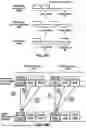 Fig. 11 - Coverage Enhancement with Frequency Selective Transmission