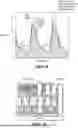 Fig. 03 - DIFFERENTIAL BLOOD PRESSURE ESTIMATION BASED ON TWO-DIMENSIONAL PLETHYSMOGRAPHY IMAGES