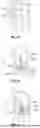 Fig. 48 - PROSTHETIC VALVES WITH EVERTING ANCHORS