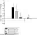 Fig. 01 - PHARMACEUTICAL COMPOSITION FOR ANIMALS CONTAINING 5-HYDROXY-METHYLIMIDAZOLIDINE-2,4-DIONE COMPOUND AS ACTIVE INGREDIENT