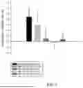 Fig. 02 - PHARMACEUTICAL COMPOSITION FOR ANIMALS CONTAINING 5-HYDROXY-METHYLIMIDAZOLIDINE-2,4-DIONE COMPOUND AS ACTIVE INGREDIENT