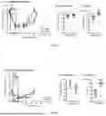 Fig. 10 - METHODS FOR PREVENTING AND TREATING CHRONIC PAIN