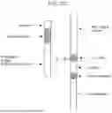 Fig. 09 - MHC CLASS II T-CELL MODULATORY MULTIMERIC POLYPEPTIDES FOR TREATING TYPE 1 DIABETES MELLITUS (T1D) AND METHODS OF USE THEREOF