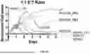 Fig. 07 - COMPOSITIONS AND METHODS FOR TARGETING CD99-EXPRESSING CANCERS