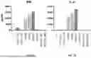 Fig. 09 - COMPOSITIONS AND METHODS FOR TARGETING CD99-EXPRESSING CANCERS