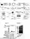 Fig. 02 - MINI CIRCULAR RNA THERAPEUTICS AND VACCINES AND METHODS OF USE THEREOF