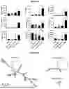 Fig. 08 - MINI CIRCULAR RNA THERAPEUTICS AND VACCINES AND METHODS OF USE THEREOF