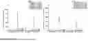 Fig. 35 - Methods and compositions related to the next generation vaccine