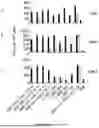 Fig. 45 - Methods and compositions related to the next generation vaccine