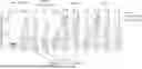 Fig. 01 - RSV RNA VACCINES