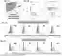 Fig. 06 - ADAPTER POLYPEPTIDES AND METHODS OF USING THE SAME