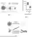 Fig. 02 - SUBUNIT VACCINES WITH DINUCLEOTIDE-LOADED HYDROGEL ADJUVANT
