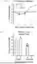 Fig. 09 - DEOPTIMIZED SARS-COV-2 VARIANTS AND METHODS AND USES THEREOF