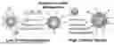 Fig. 01 - TARGETED GLYCOSAMINOGLYCAN-PARTICLES AND METHODS OF USE