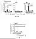 Fig. 33 - NANOPARTICLE COMPOSITIONS FOR SUSTAINED THERAPY