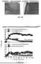Fig. 40 - NANOPARTICLE COMPOSITIONS FOR SUSTAINED THERAPY