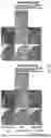 Fig. 43 - NANOPARTICLE COMPOSITIONS FOR SUSTAINED THERAPY