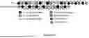 Fig. 50 - ADJUVANT THERAPY FOR CANCER