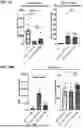 Fig. 32 - SELECTIVE STIMULATION OF T CELLS IN SOLID TUMORS USING ONCOLYTIC VIRAL DELIVERY OF ORTHOGONAL IL-2