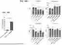 Fig. 43 - SELECTIVE STIMULATION OF T CELLS IN SOLID TUMORS USING ONCOLYTIC VIRAL DELIVERY OF ORTHOGONAL IL-2