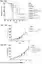 Fig. 45 - SELECTIVE STIMULATION OF T CELLS IN SOLID TUMORS USING ONCOLYTIC VIRAL DELIVERY OF ORTHOGONAL IL-2