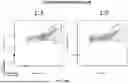 Fig. 64 - SELECTIVE STIMULATION OF T CELLS IN SOLID TUMORS USING ONCOLYTIC VIRAL DELIVERY OF ORTHOGONAL IL-2