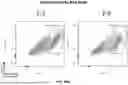 Fig. 67 - SELECTIVE STIMULATION OF T CELLS IN SOLID TUMORS USING ONCOLYTIC VIRAL DELIVERY OF ORTHOGONAL IL-2