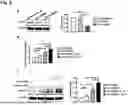 Fig. 09 - NATURAL KILLER CELLS ENGINEERED TO REDUCE OR ELIMINATE CBL-B AND USES THEREOF