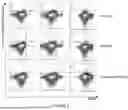 Fig. 08 - HIGH POTENCY T CELL RECEPTORS FOR IMMUNOTHERAPY