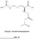 Fig. 33 - MOLECULES, FORMULATIONS, AND METHODS FOR NUTRITIONAL SUPPORT OF ATHLETES, PATIENTS, AND OTHERS