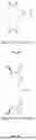 Fig. 35 - MOLECULES, FORMULATIONS, AND METHODS FOR NUTRITIONAL SUPPORT OF ATHLETES, PATIENTS, AND OTHERS