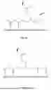 Fig. 40 - MOLECULES, FORMULATIONS, AND METHODS FOR NUTRITIONAL SUPPORT OF ATHLETES, PATIENTS, AND OTHERS