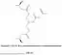 Fig. 46 - MOLECULES, FORMULATIONS, AND METHODS FOR NUTRITIONAL SUPPORT OF ATHLETES, PATIENTS, AND OTHERS