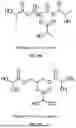 Fig. 86 - MOLECULES, FORMULATIONS, AND METHODS FOR NUTRITIONAL SUPPORT OF ATHLETES, PATIENTS, AND OTHERS