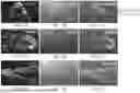 Fig. 02 - TOXIN-DERIVED DELIVERY CONSTRUCTS