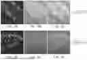 Fig. 04 - TOXIN-DERIVED DELIVERY CONSTRUCTS