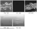 Fig. 06 - TOXIN-DERIVED DELIVERY CONSTRUCTS