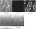 Fig. 07 - TOXIN-DERIVED DELIVERY CONSTRUCTS