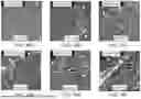 Fig. 16 - TOXIN-DERIVED DELIVERY CONSTRUCTS