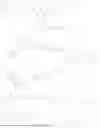 Fig. 28 - OLIGONUCLEOTIDE CONJUGATES TARGETED TO THE TRANSFERRIN RECEPTOR