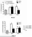 Fig. 09 - REVERSING DEMYELINATION