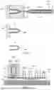 Fig. 03 - STRETCH BLOW-MOLDED ARTICLE AND METHOD FOR PRODUCING STRETCH BLOW-MOLDED ARTICLE