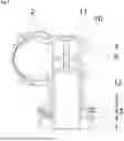 Fig. 03 - Centering Ring; Method for Reducing the Risk of Breakage of at Least One Thin-Walled Region of a Centering Ring